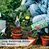 long cuff gardening gloves